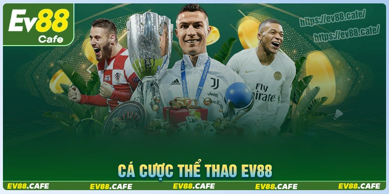 Thể thao Ev88 - Điểm cá độ hàng đầu thị trường châu Á 2025