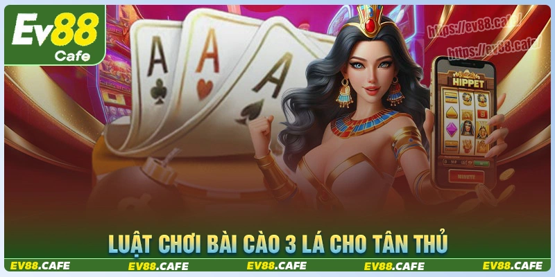 Hướng dẫn luật chơi bài cào 3 lá từ a - z