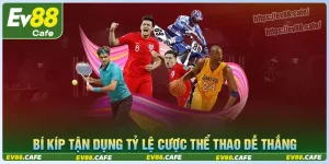 Bí kíp tận dụng tỷ lệ cá cược thể thao săn tiền thưởng