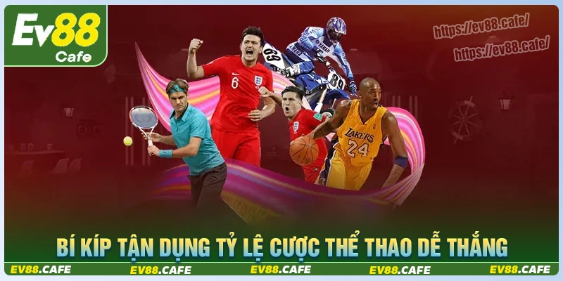 Bí kíp tận dụng tỷ lệ cá cược thể thao săn tiền thưởng