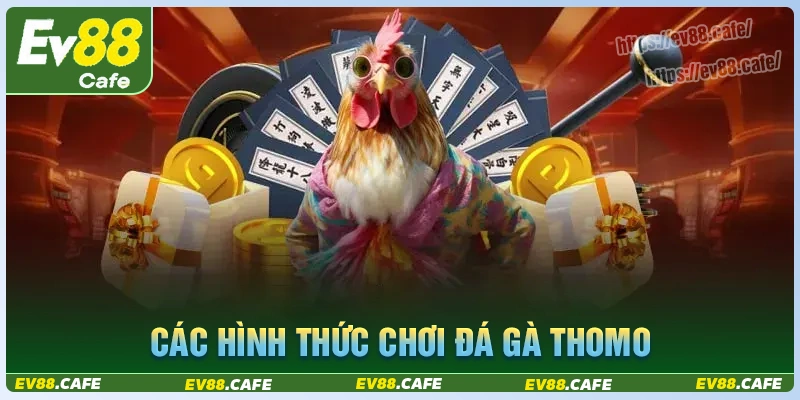 Khám phá hình thức cược đá gà thomo hôm nay
