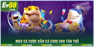 Mẹo bắn cá đổi thưởng mới nhất cho bet thủ